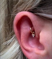 Rook Piercings