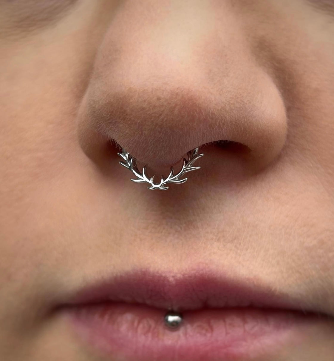 Septum