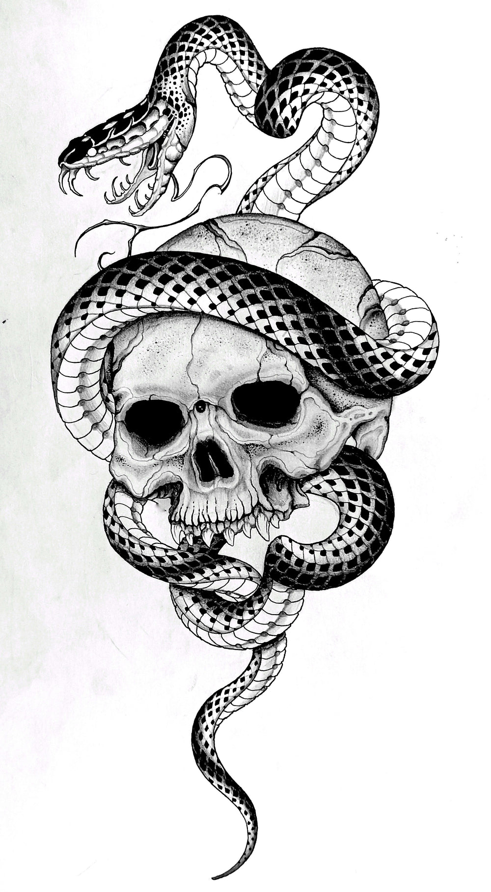 Skull with Snake