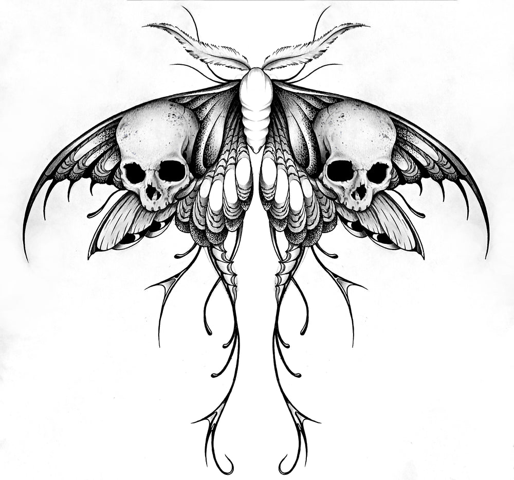 Moth with Skulls