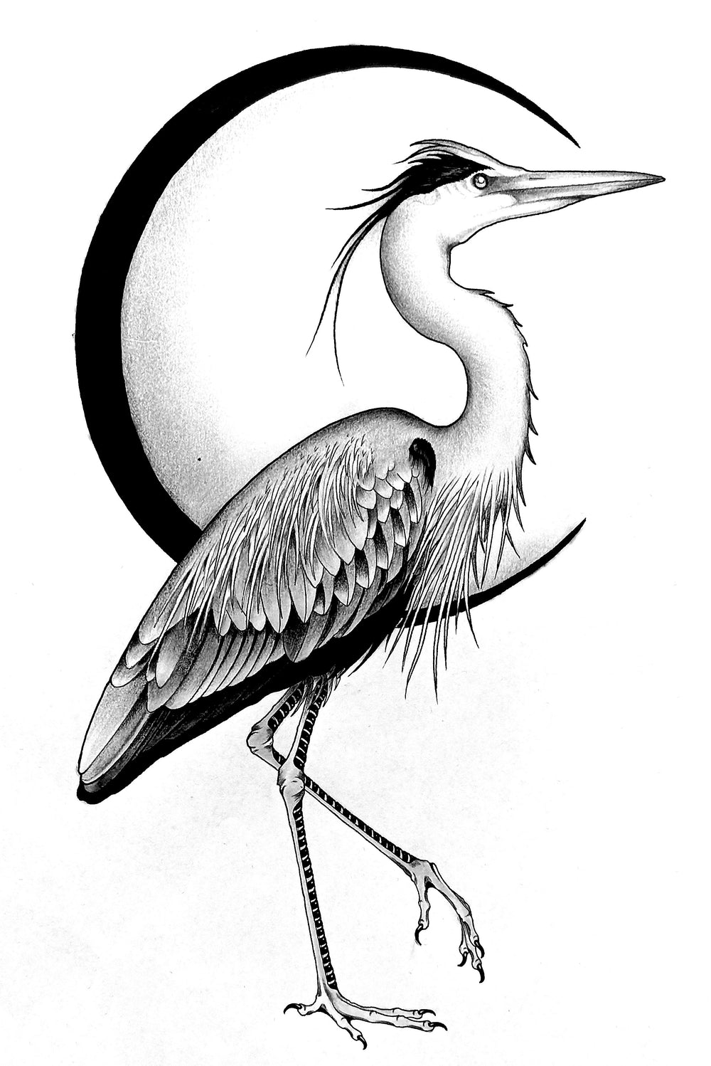 Heron 1