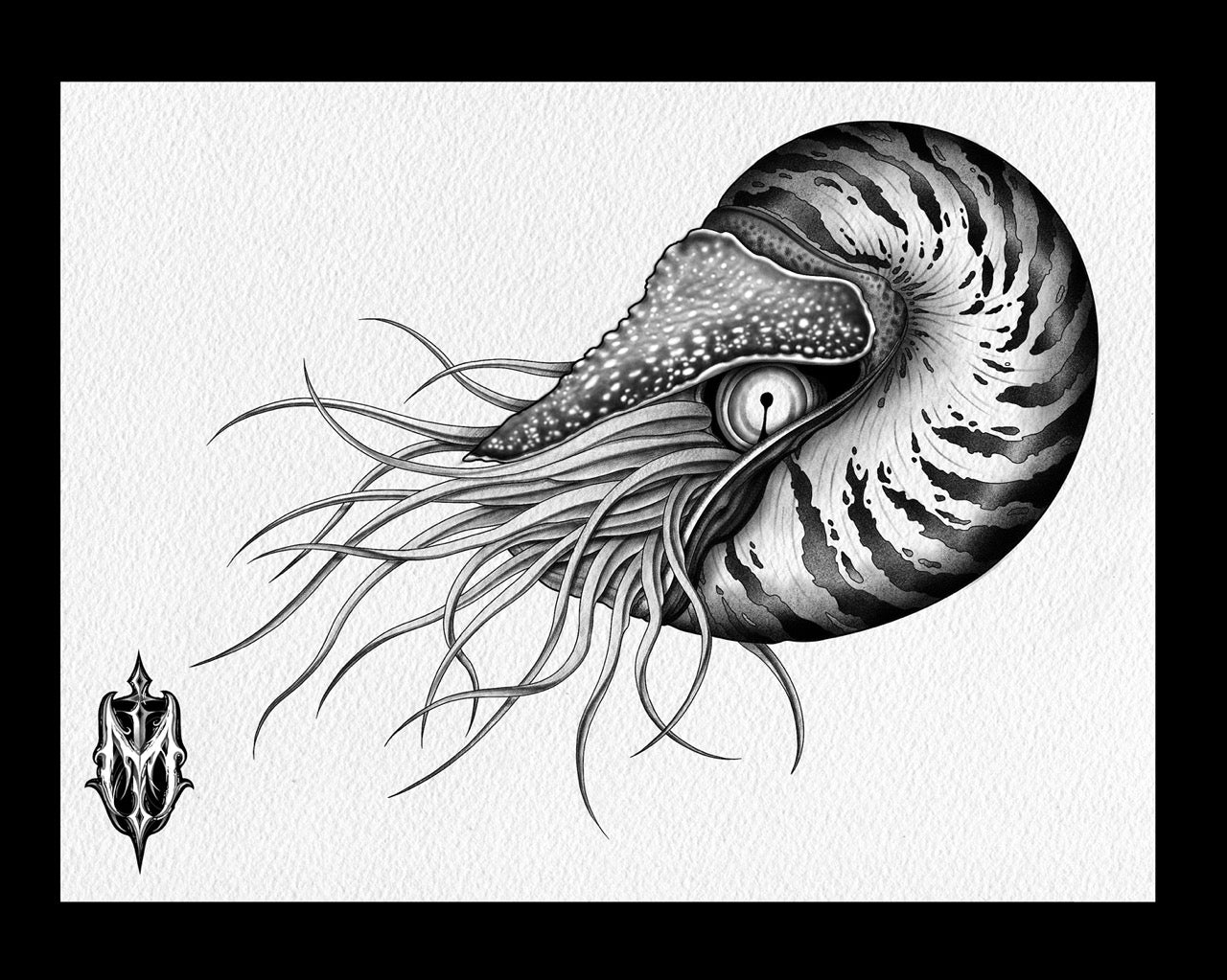 Marek - Designs