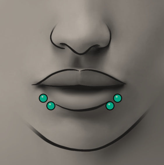 Piercing- Shark bites