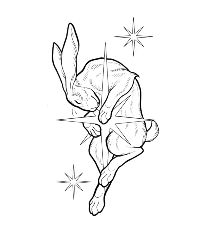 Sleepy hare