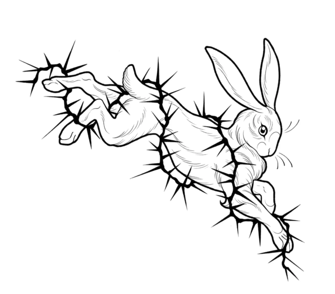 Thorny hare