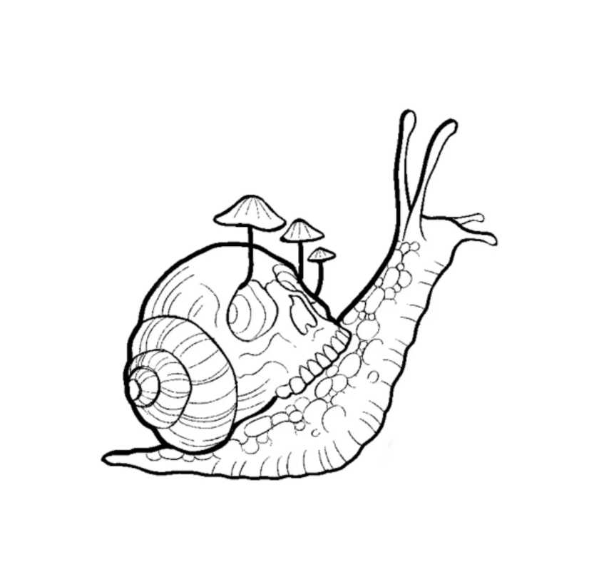 Spooky snail