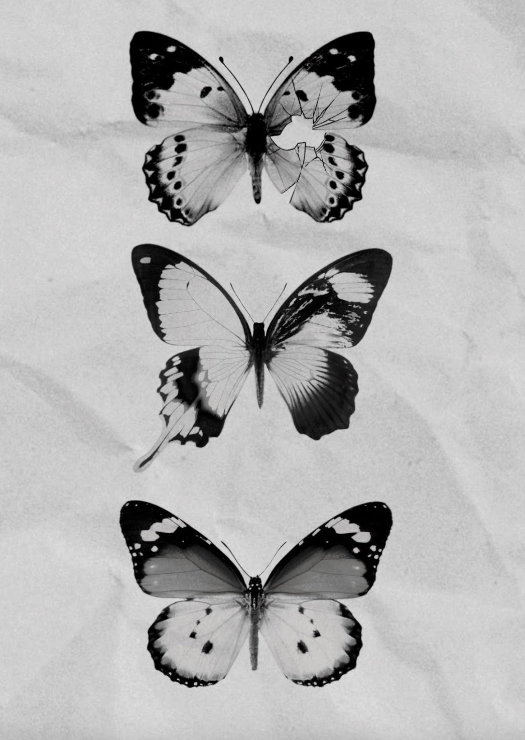 Metamorphosis