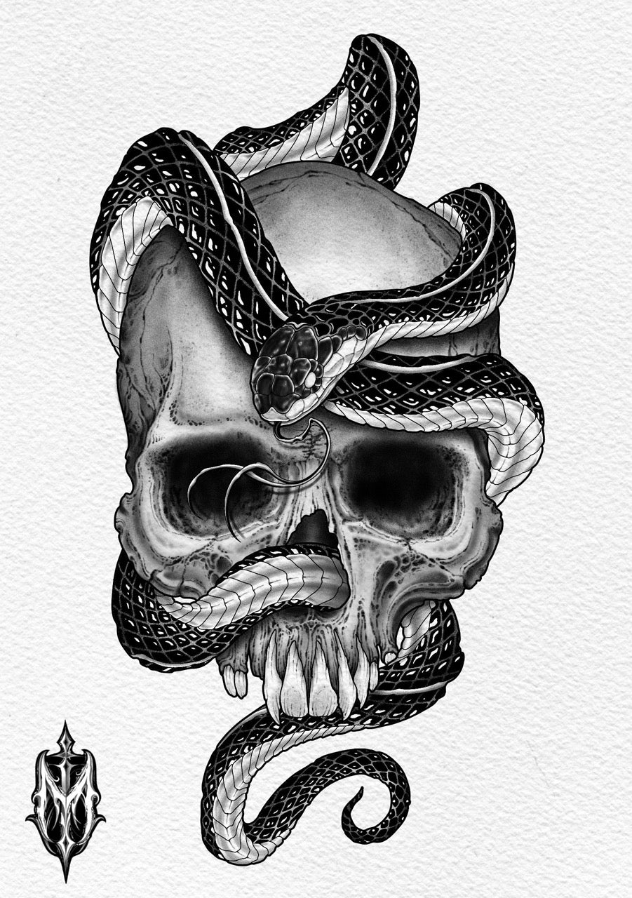 Skull with Snake
