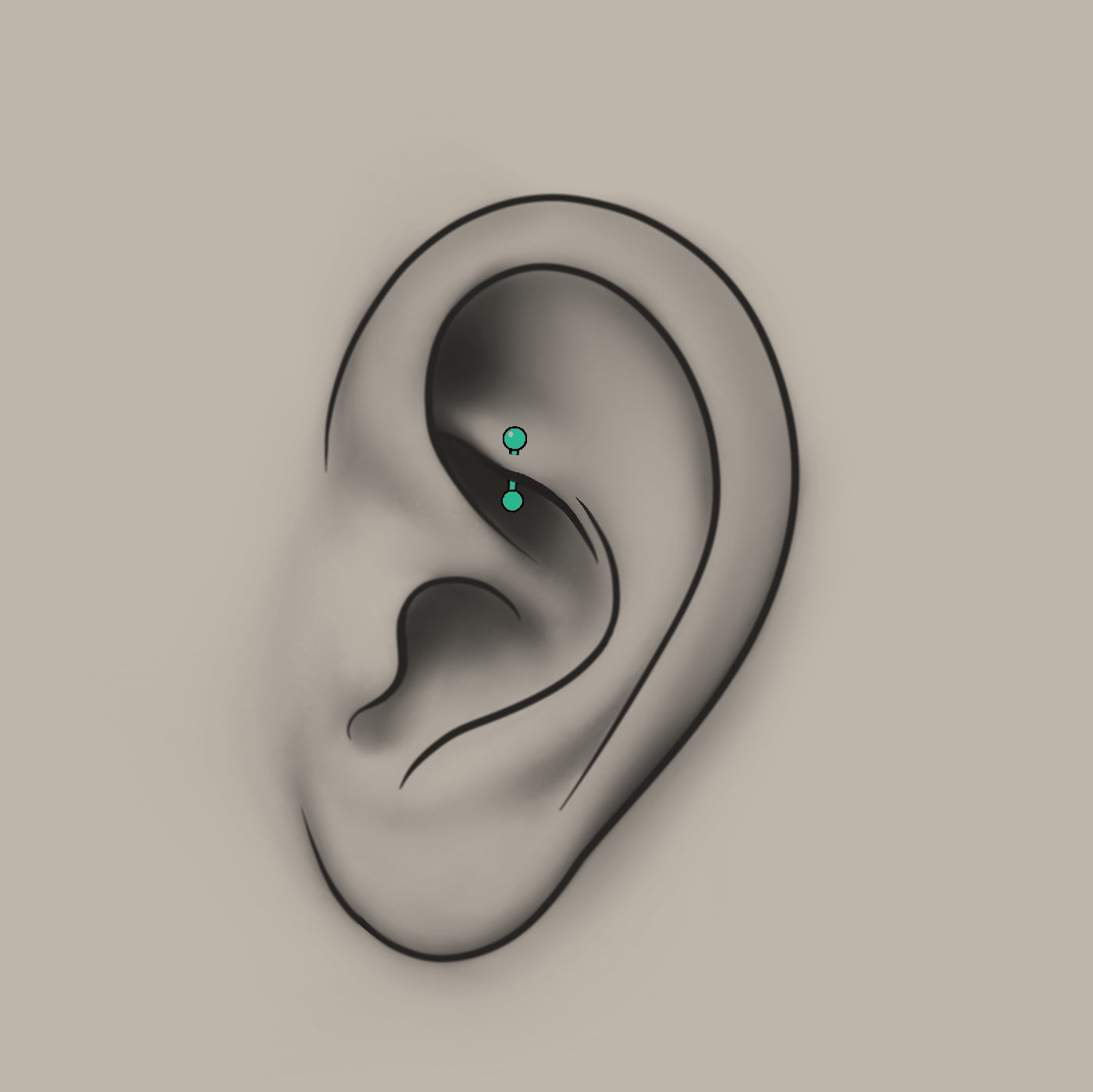 Piercing – Rook