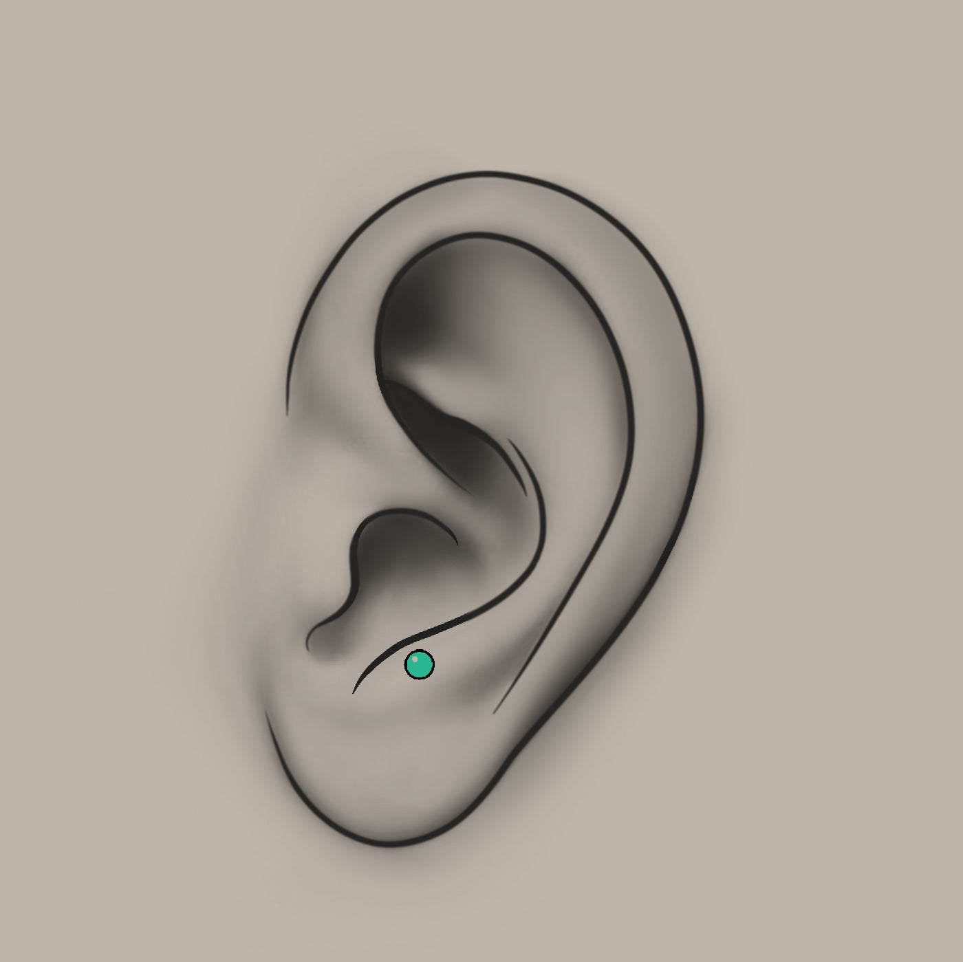 Piercing - Anti Tragus