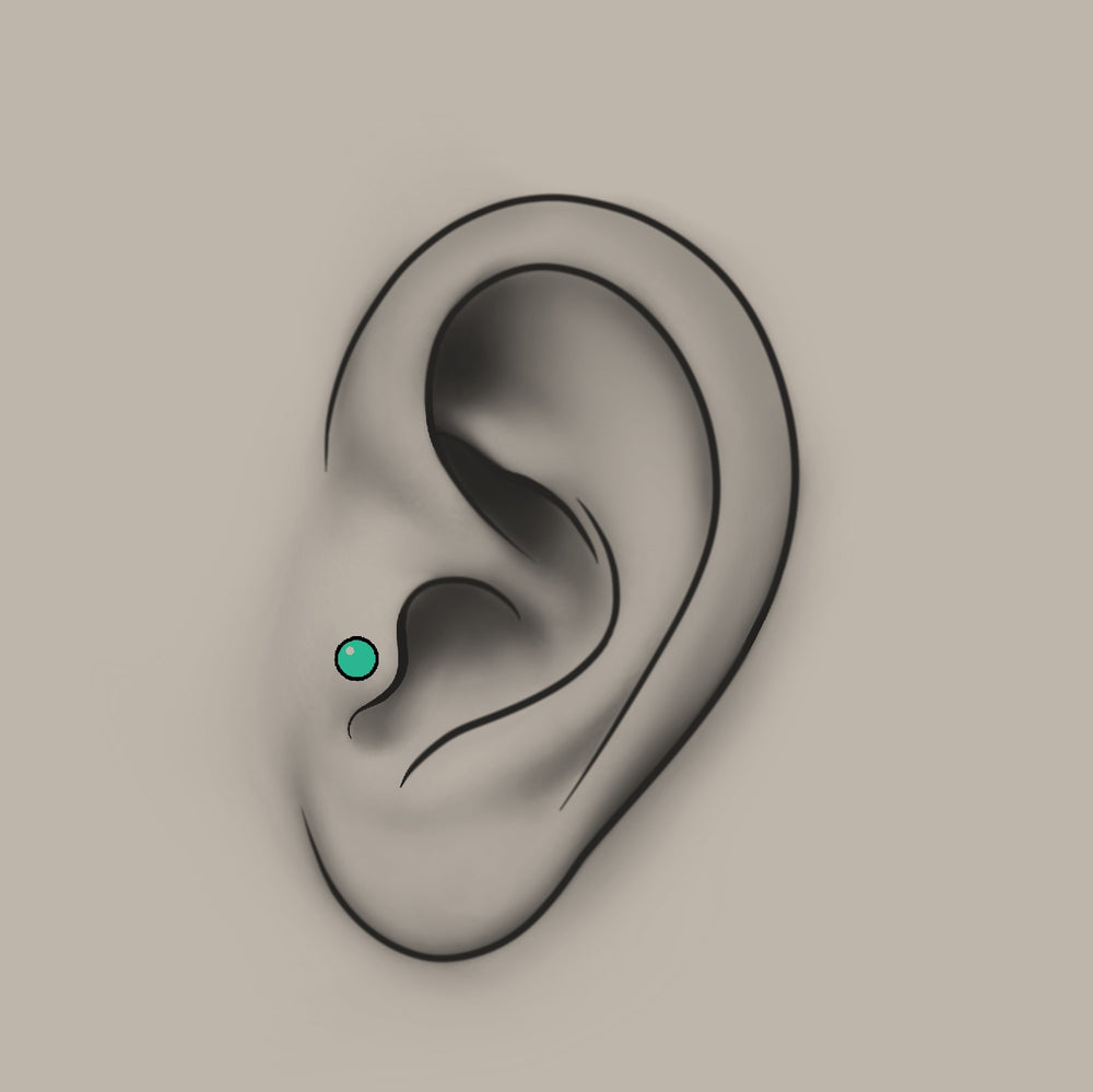 Piercing - Tragus