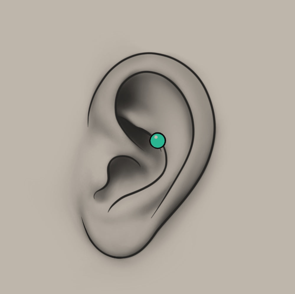 Piercing - Conch Rim
