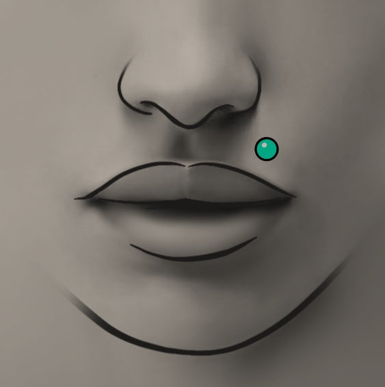 Piercing – Monroe