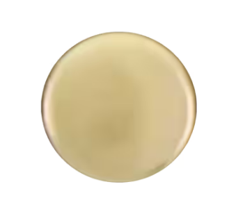 Leroi Disc Threaded End